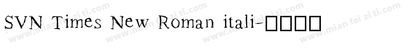SVN Times New Roman itali字体转换